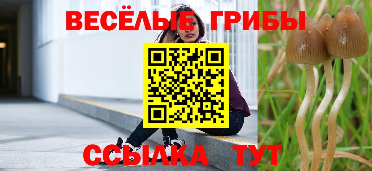 Галлюциногенные грибы Psilocybe  Вход с VPN  Галлюциногенные грибы ЛСД  Краснодар 
